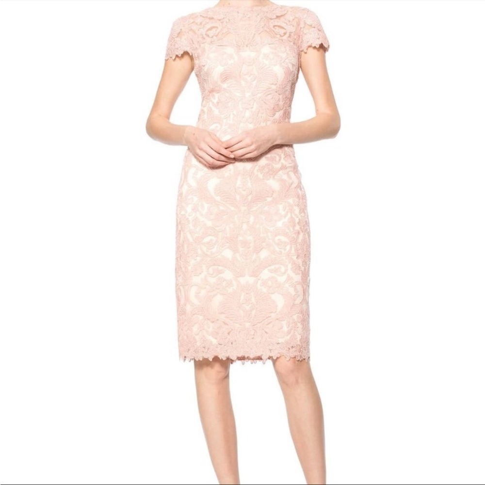 Tadashi Shoji Embroidered Blush / Light Pink Cocktail Dress